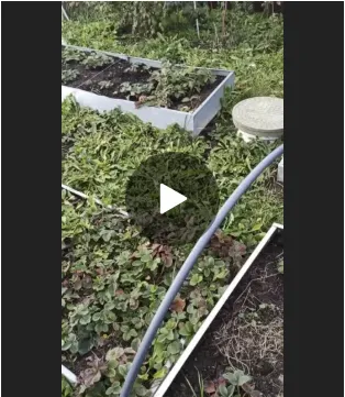 Видео ВКонтакте
